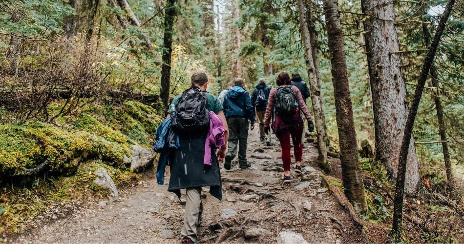 people hiking on a trail