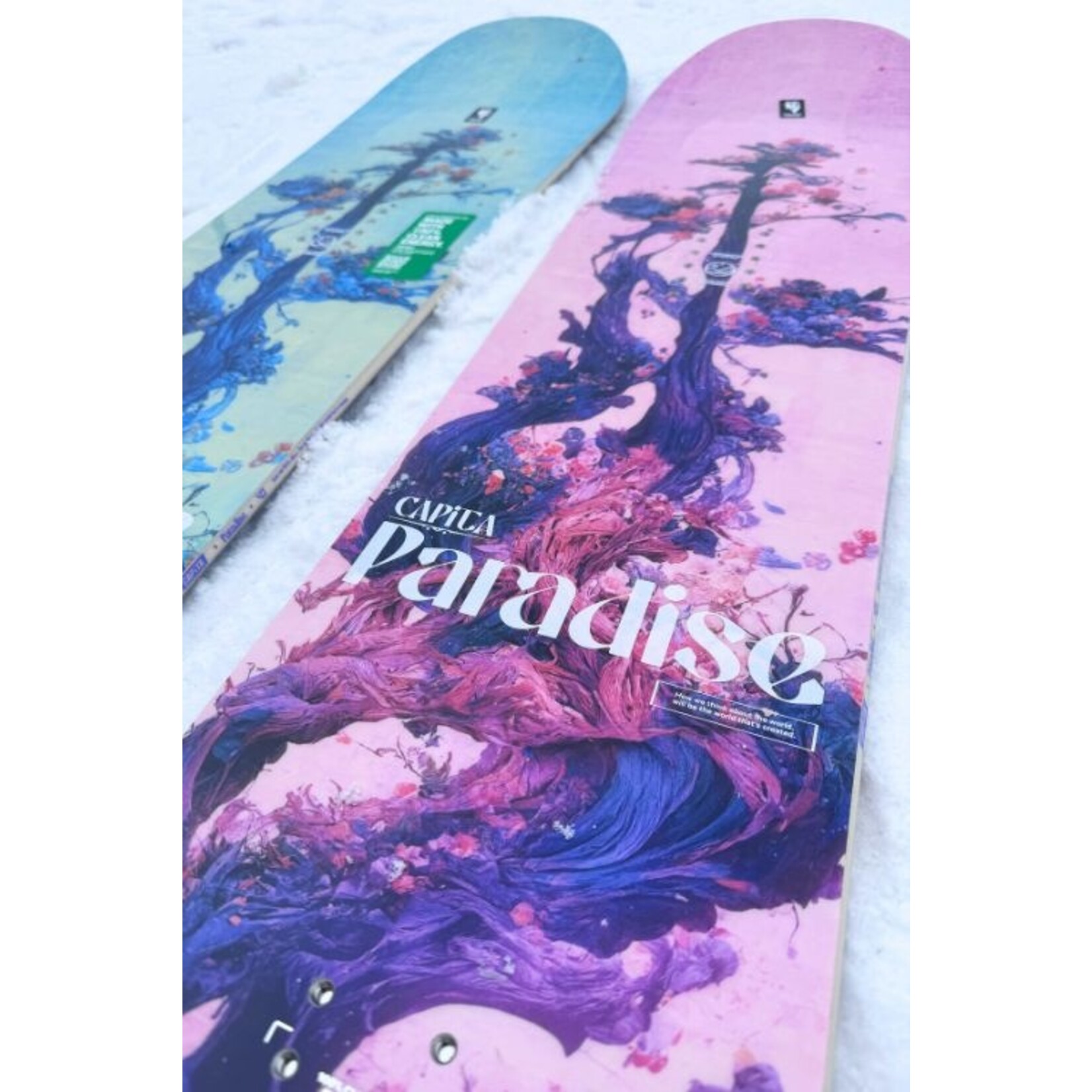 Capita Paradise
