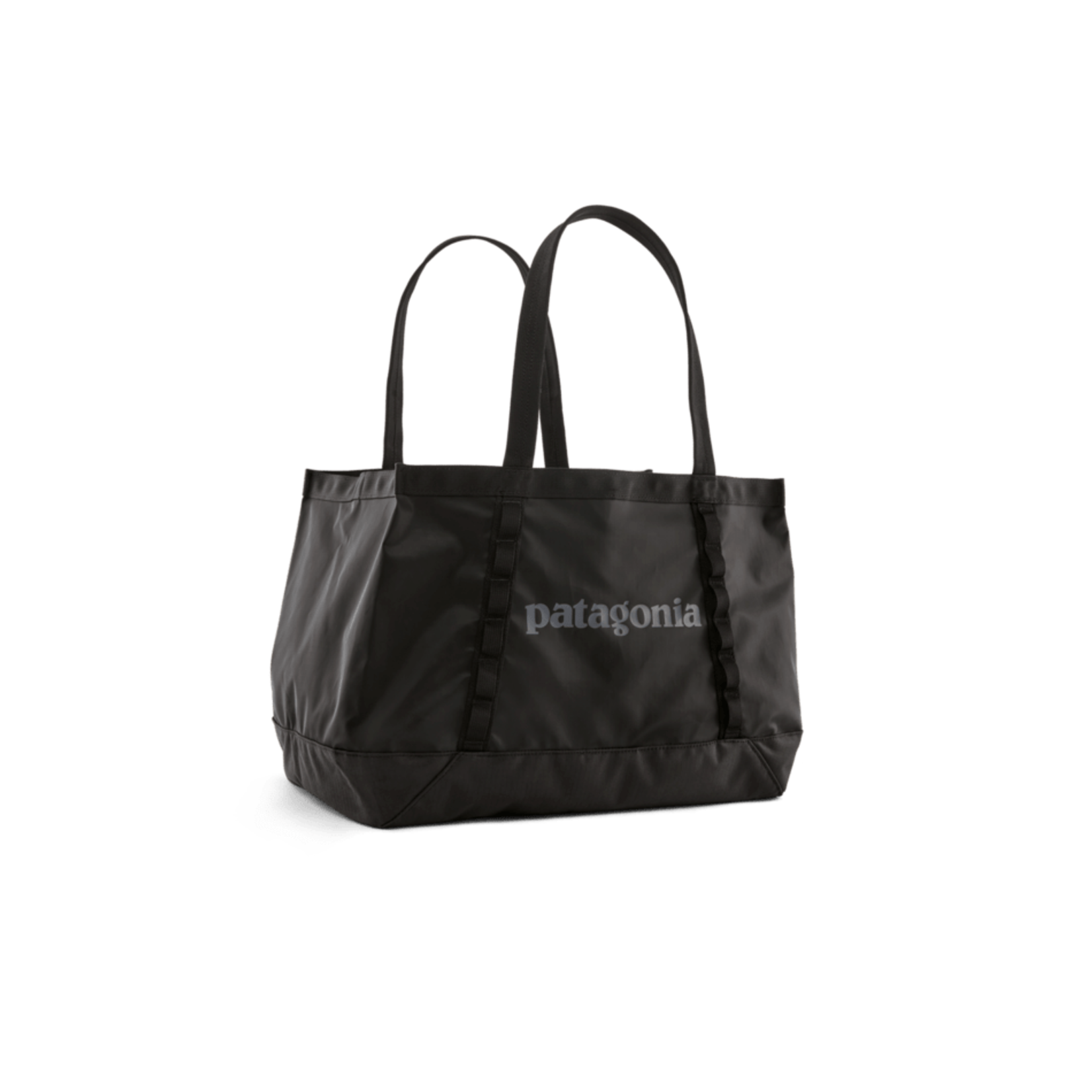 Patagonia Patagonia Black Hole 25L Tote