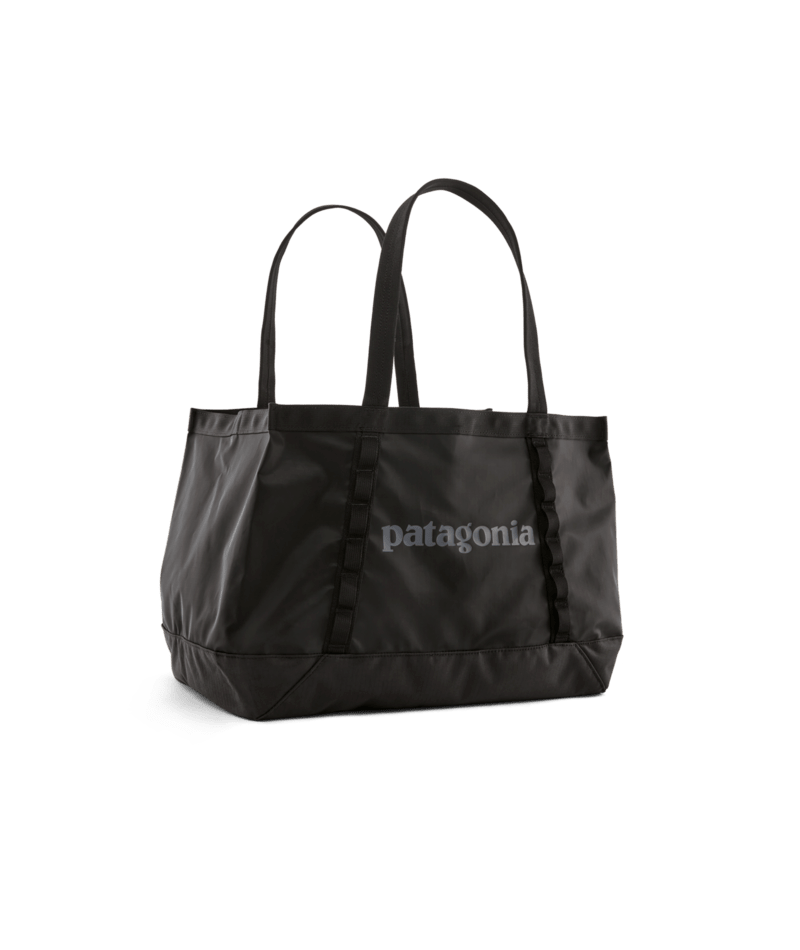 バッグ patagonia BLACK HOLE TOTE PACK 25L patagonia-patagonia-black-hole