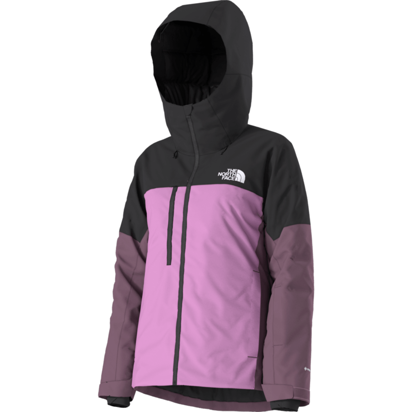 The North Face The North Face Women's Dawnstrike GORE-TEX Insulated Jacket