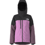The North Face The North Face Women's Dawnstrike GORE-TEX Insulated Jacket