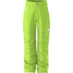 The North Face The North Face Boy's Freedom Insulated Pant