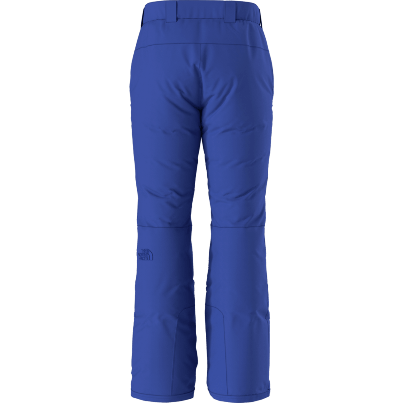 The North Face The North Face Men's Descendit Pant