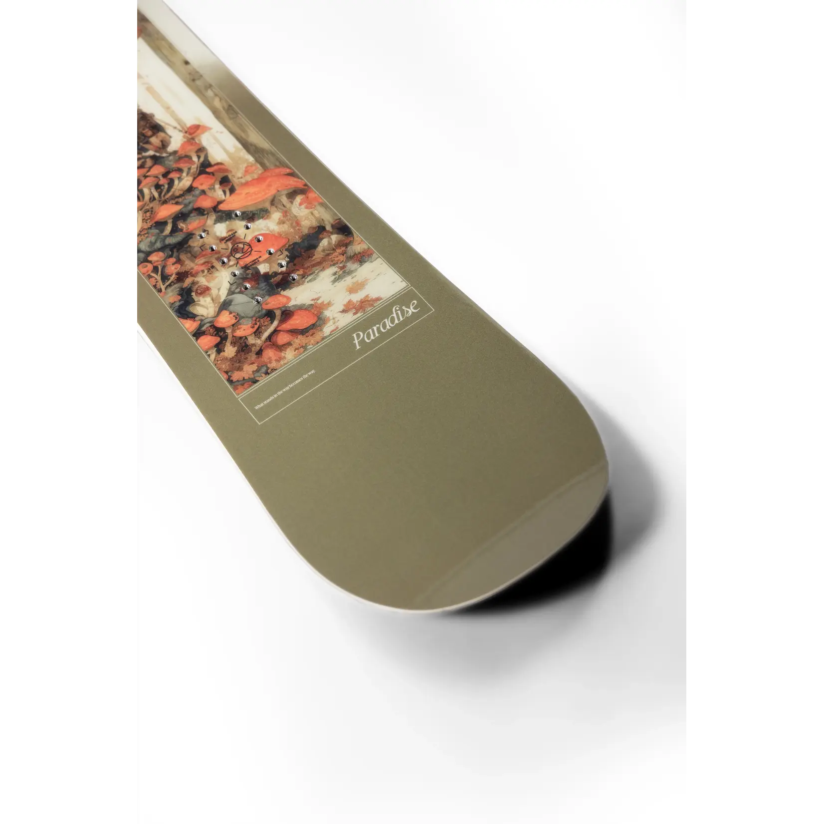 CAPiTA CAPiTA Paradise Snowboard 2026