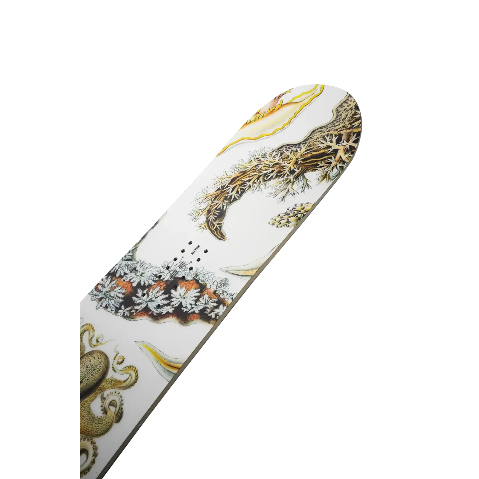 Yes. Yes. Women's Hell Yes Snowboard 2026