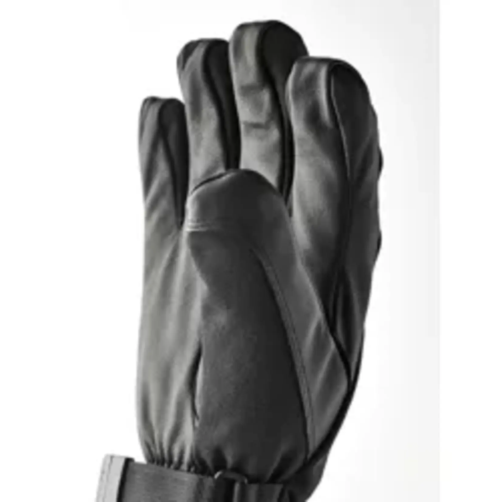 Hestra Hestra Alpine All Mountain CZone Glove