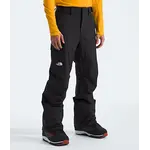 The North Face The North Face Men's Freedom Insulated Pant