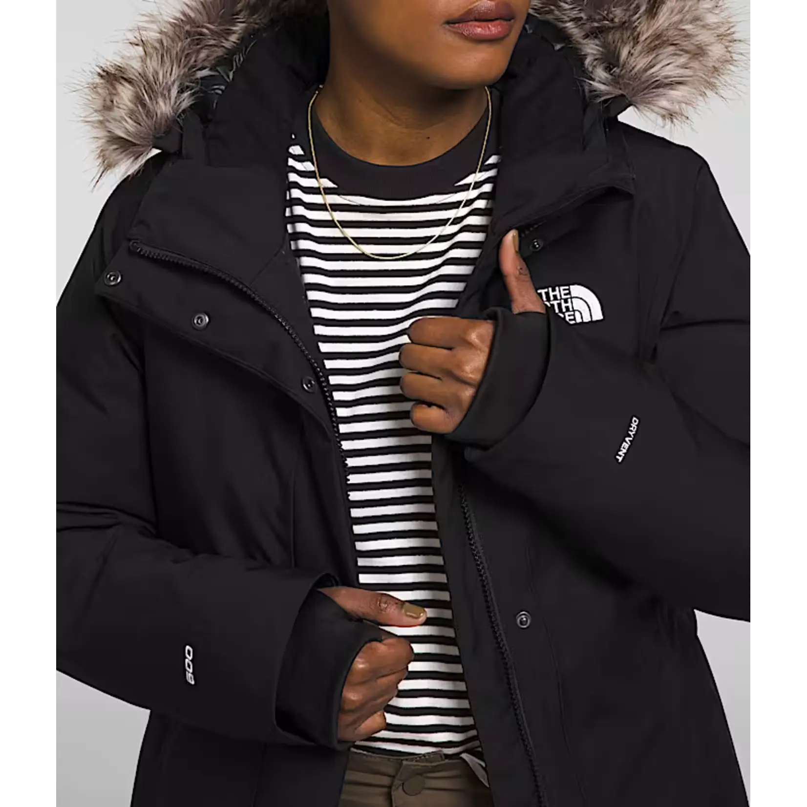 The North Face The North Face Women's Arctic Parka