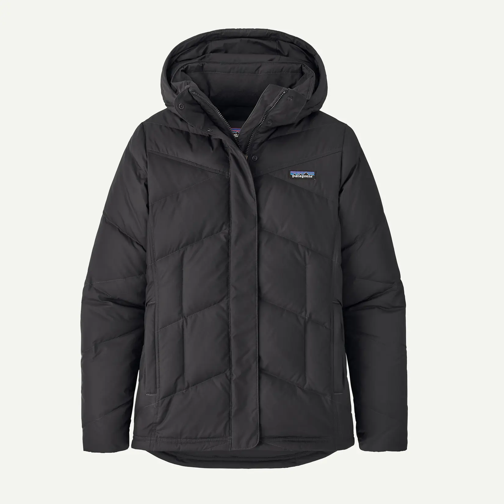 Patagonia Patagonia Women's Down With It Jacket