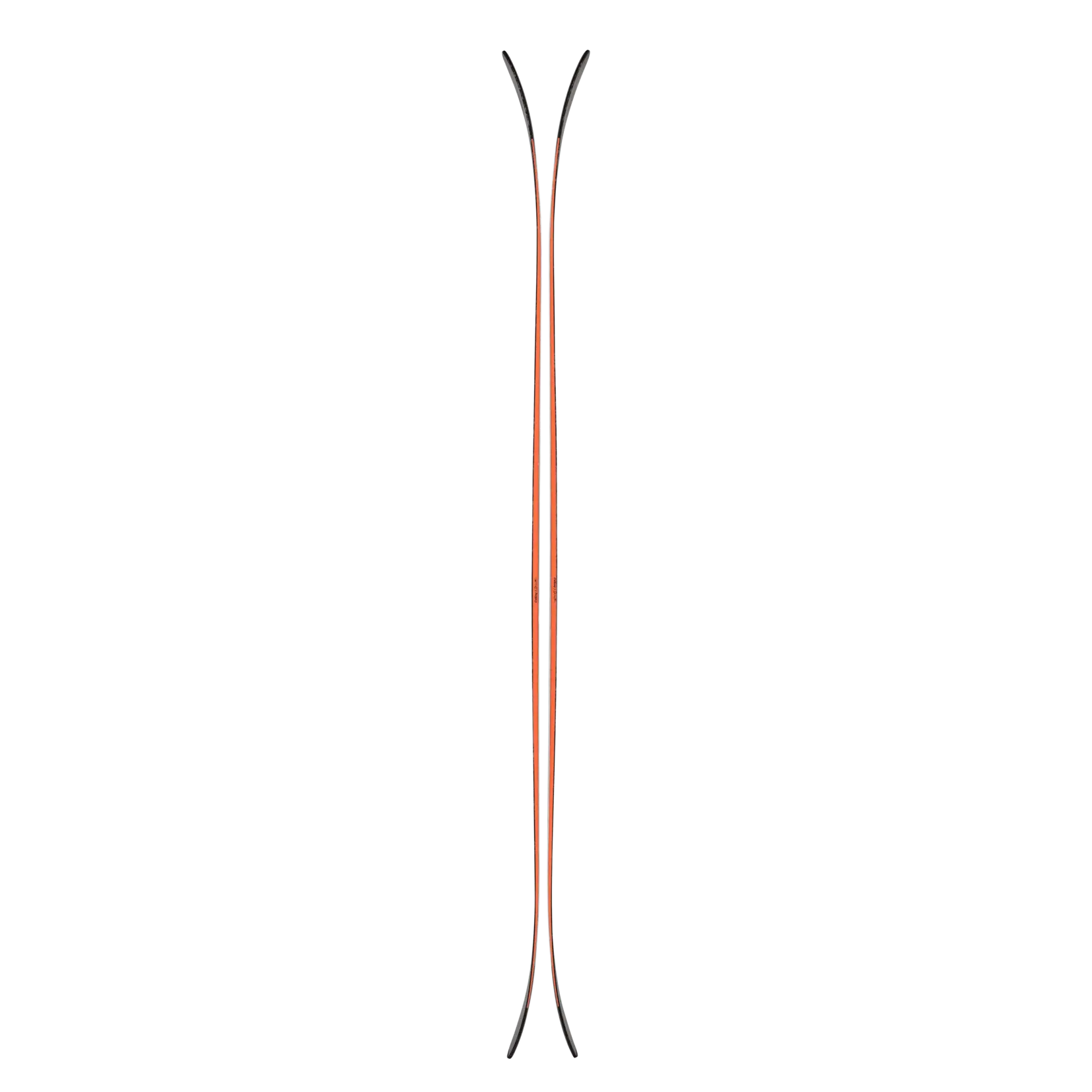 Blizzard Blizzard Canvas 100 Skis 2027