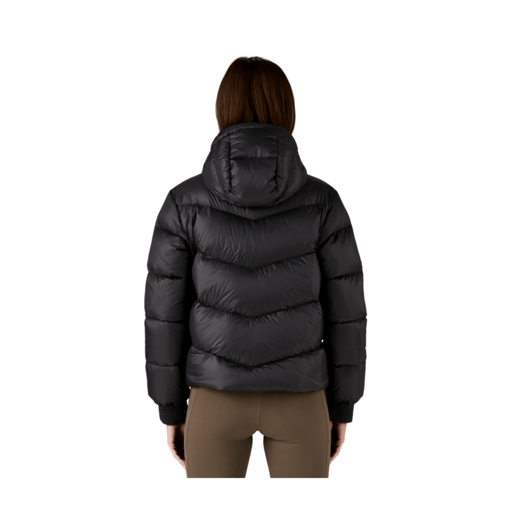 Patagonia Patagonia Women's  Sindit Hoody Jacket