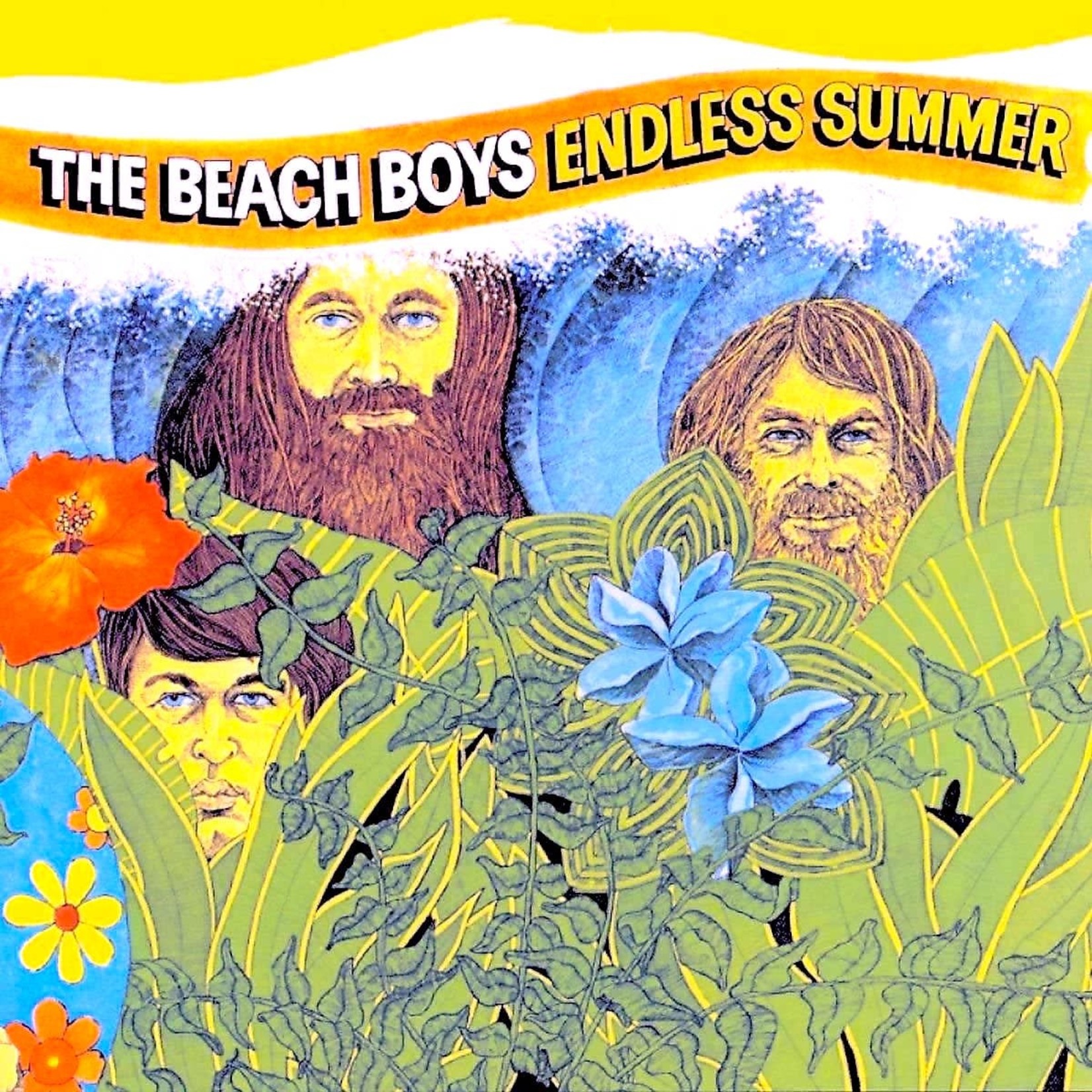[New] Beach Boys - Endless Summer (2LP)