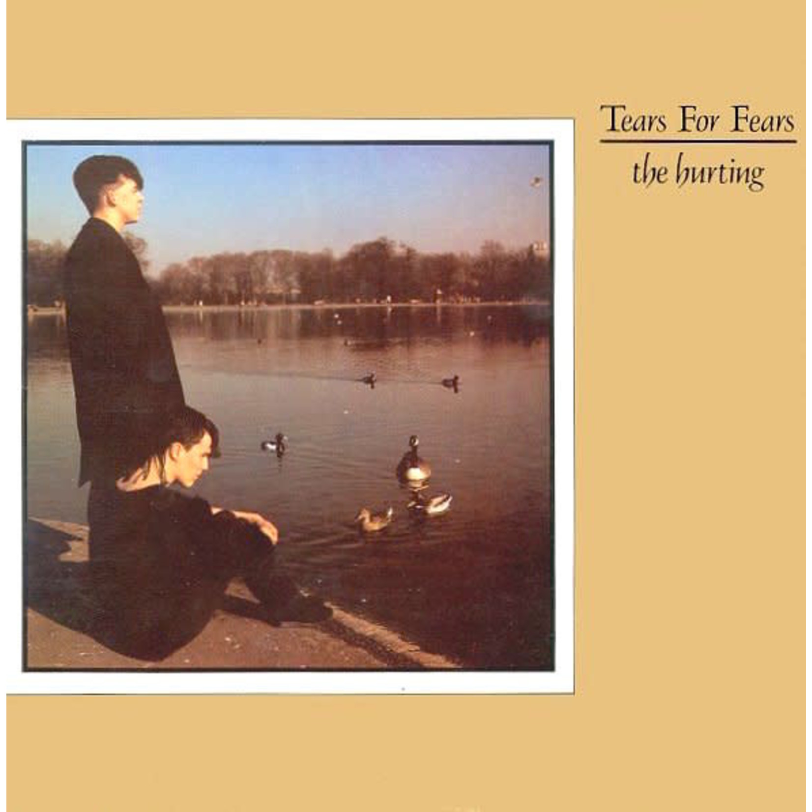 [Vintage Vinyl] Tears for Fears - The Hurting (band cover)