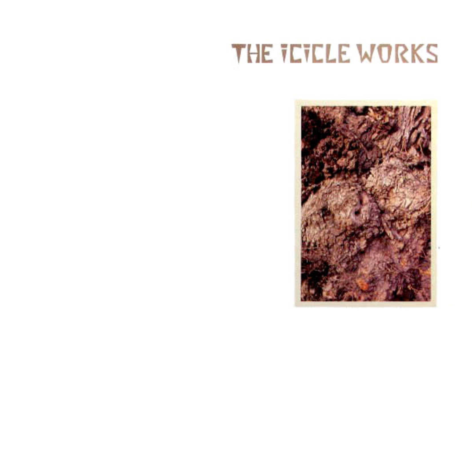 [Vintage Vinyl] Icicle Works - self-titled