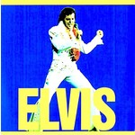 [Vintage Vinyl] Elvis Presley - Elvis (RCA 2 Big LPs,  Blue/Yellow Cover, 5.98) (2LP)