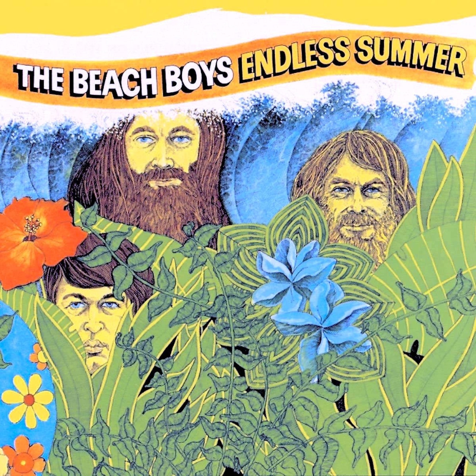 [Vintage] Beach Boys - Endless Summer (2LP)