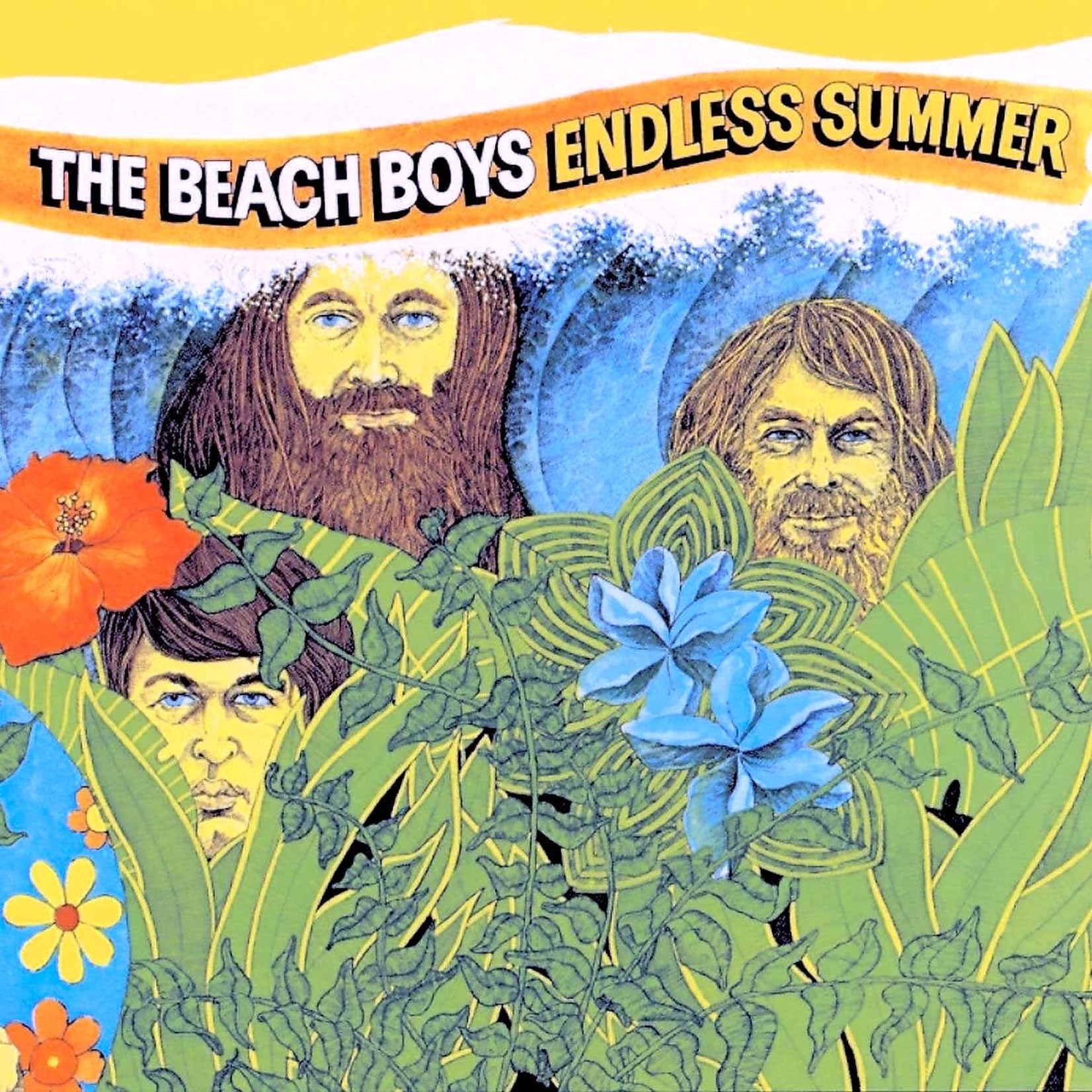 [Vintage Vinyl] Beach Boys - Endless Summer (2LP)