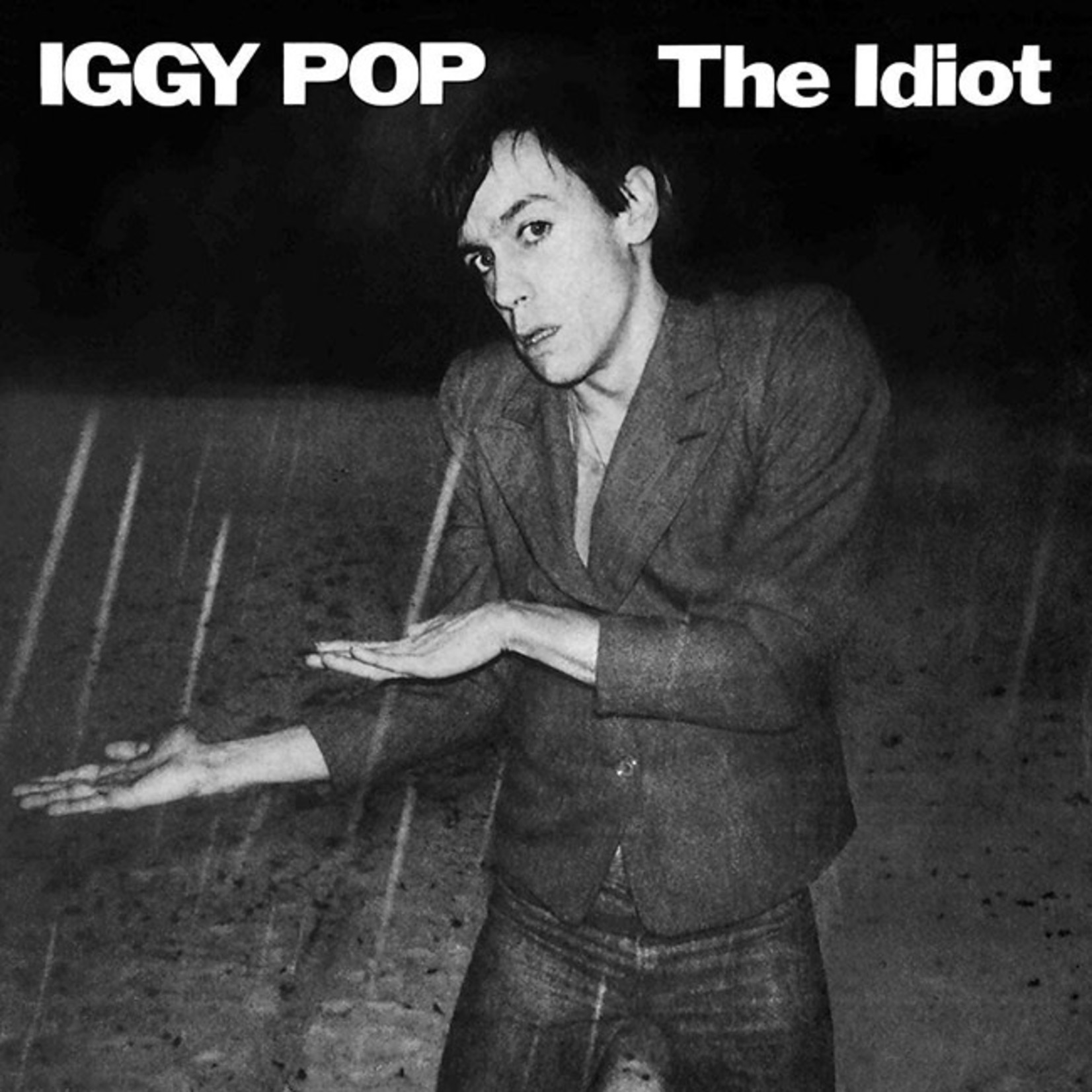 [New] Iggy Pop - The Idiot