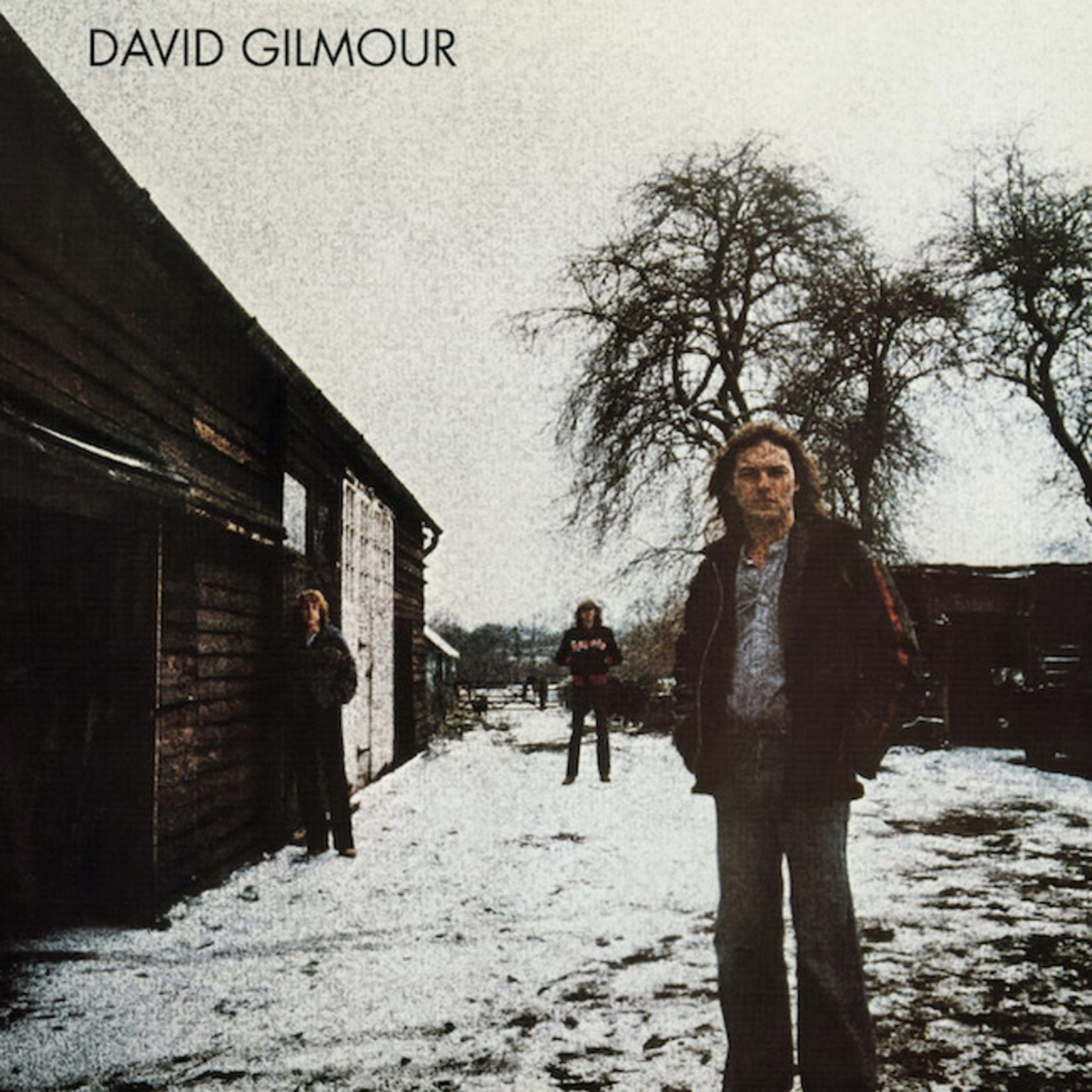 David Gilmour - self-titled