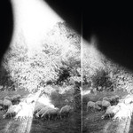 [New] Godspeed You! Black Emperor - Asunder, Sweet And Other Distress