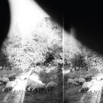 [New Vinyl] Godspeed You! Black Emperor - Asunder, Sweet & Other Distress