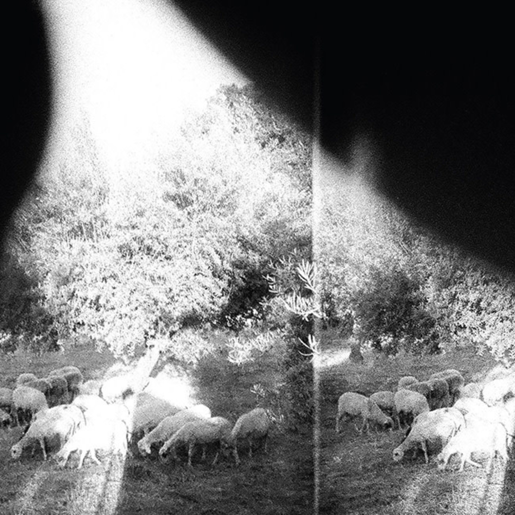 [New Vinyl] Godspeed You! Black Emperor - Asunder, Sweet & Other Distress