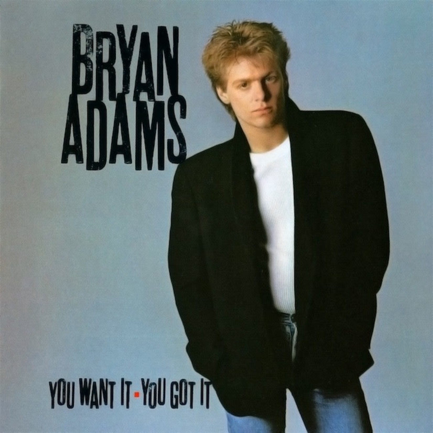 [Vintage Vinyl] Bryan Adams - You Want It You Got It