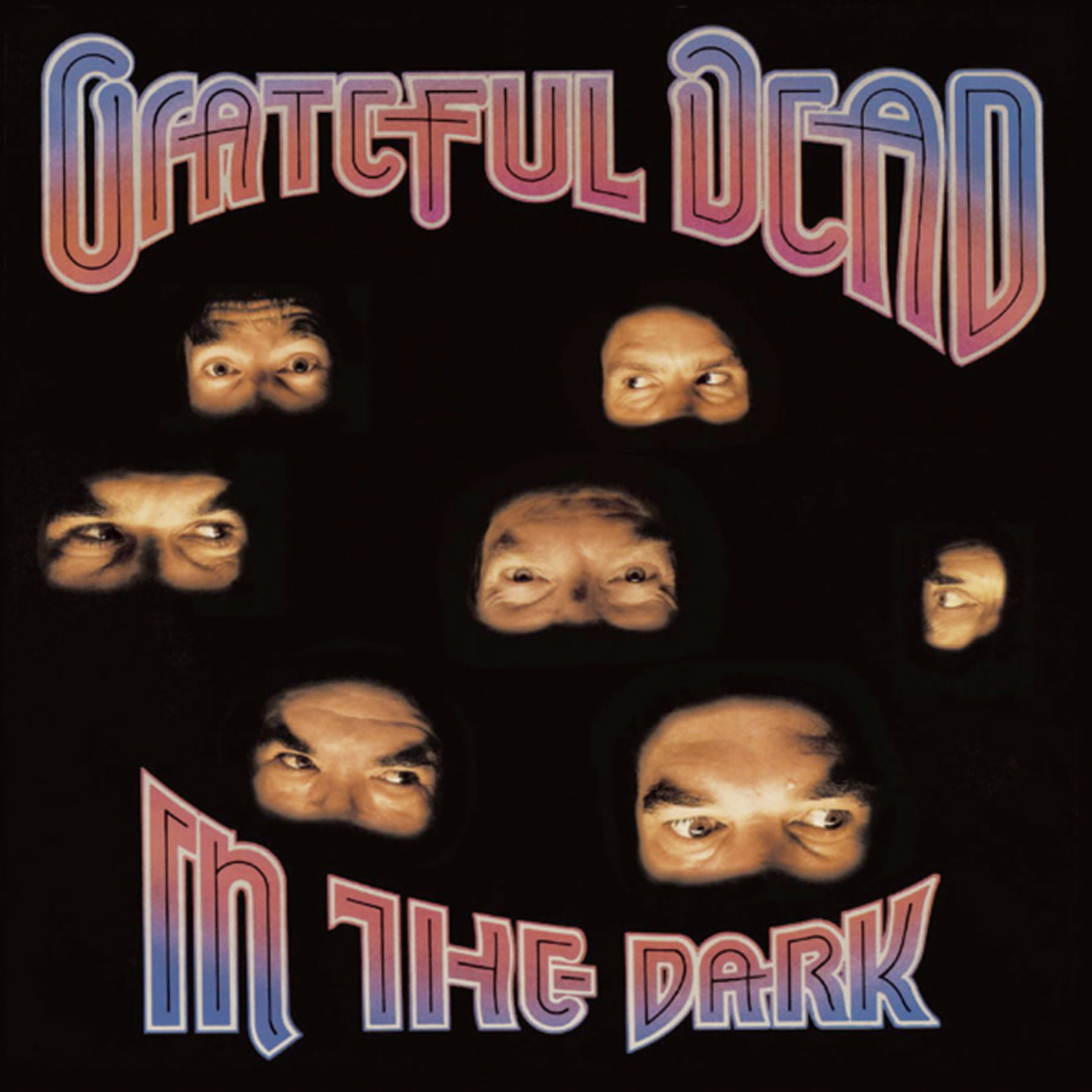 [Vintage Vinyl] Grateful Dead - In the Dark