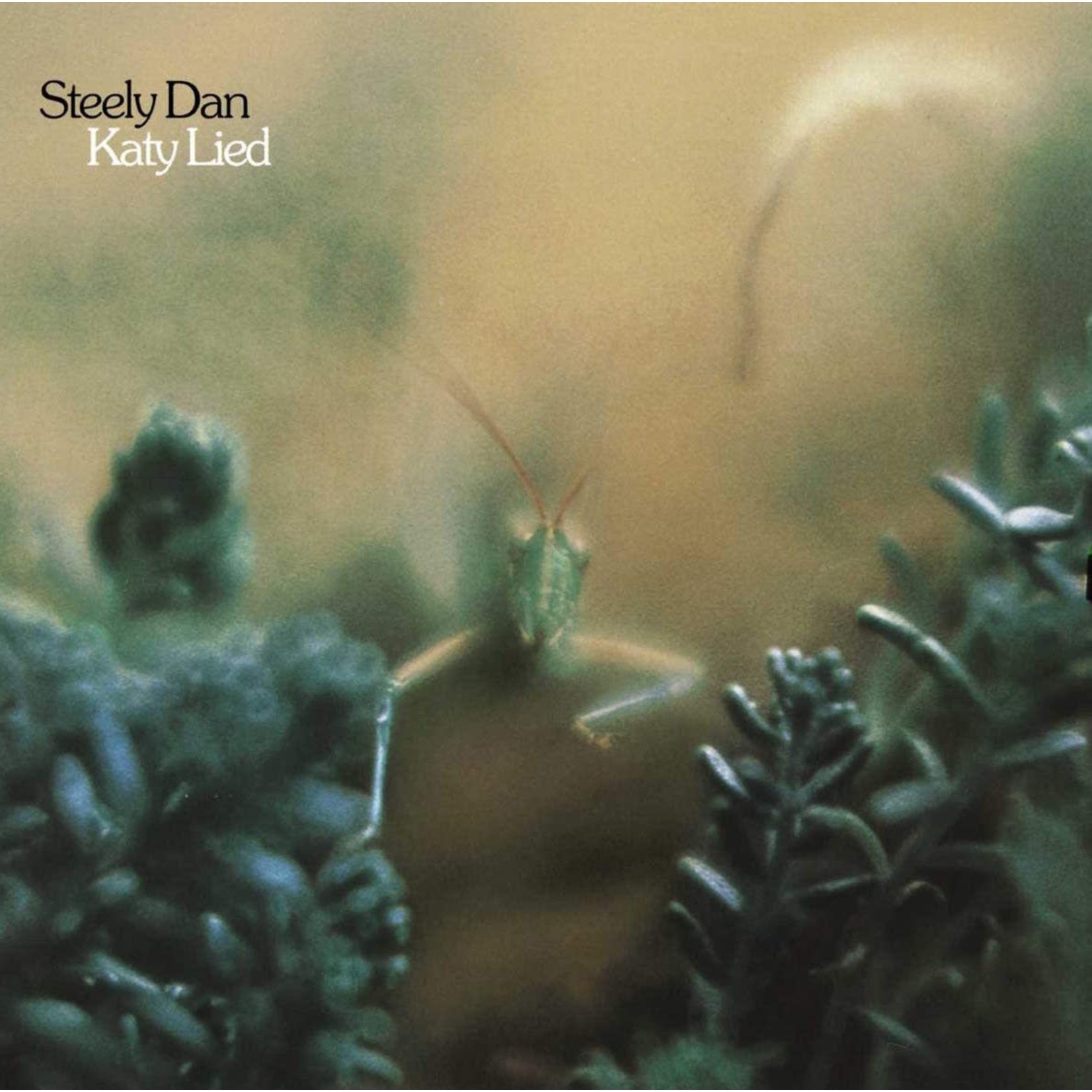 [Vintage Vinyl] Steely Dan - Katy Lied