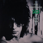 [Vintage Vinyl] Waterboys - A Pagan Place