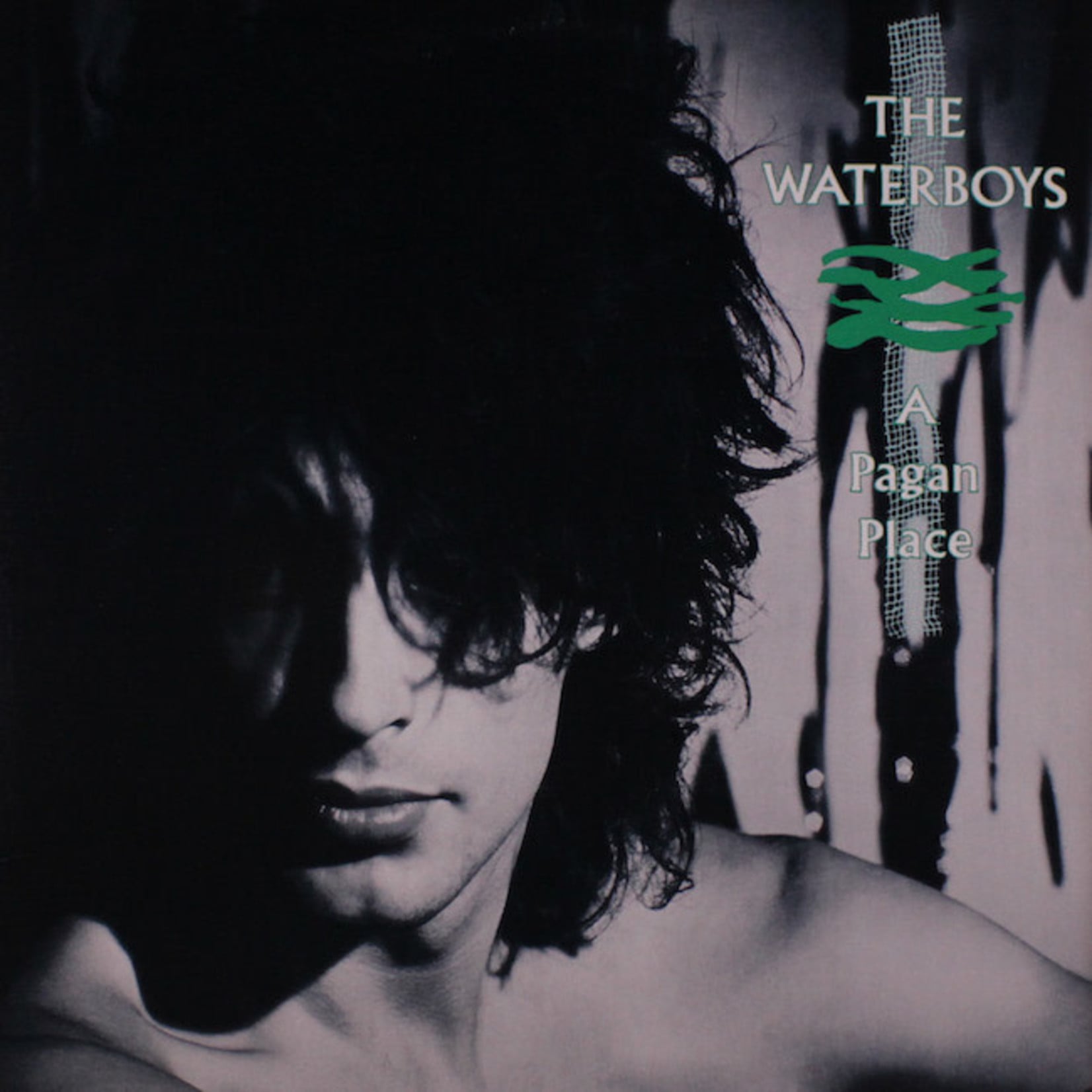 [Vintage Vinyl] Waterboys - A Pagan Place