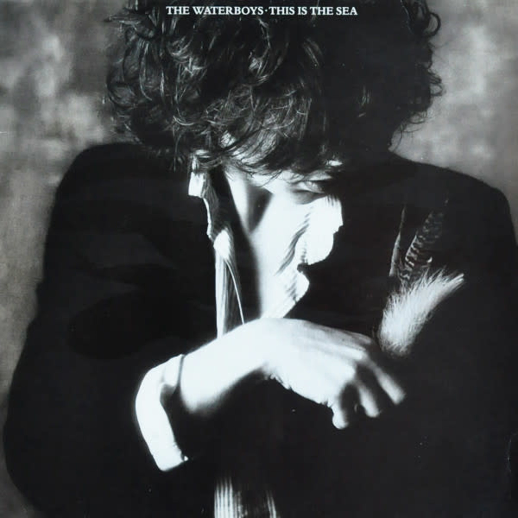 [Vintage Vinyl] Waterboys - This Is the Sea