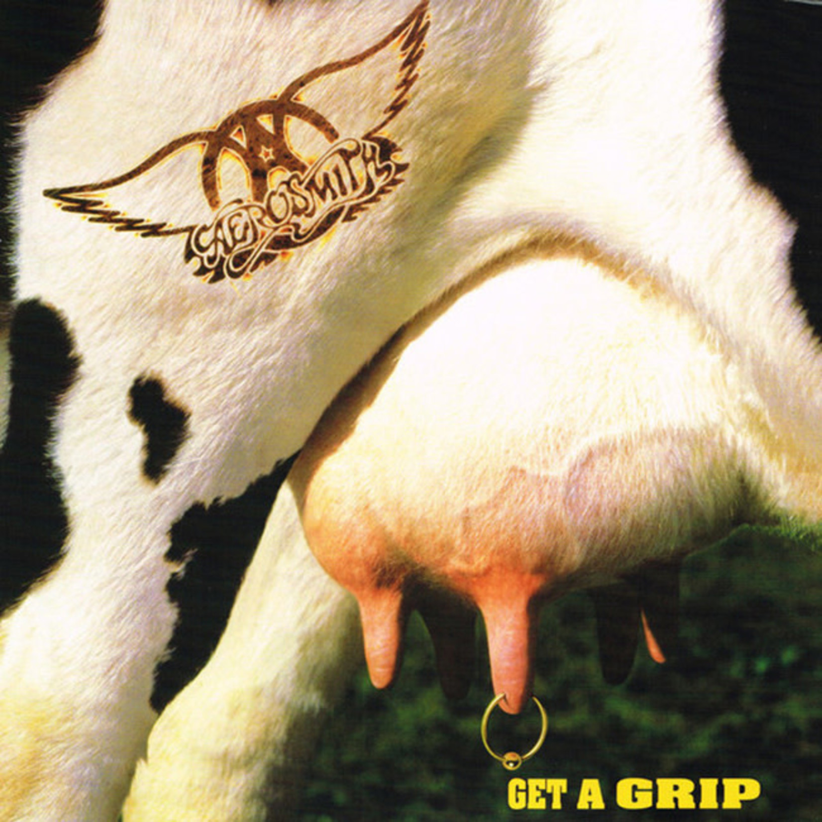 [New] Aerosmith - Get a Grip (2LP)