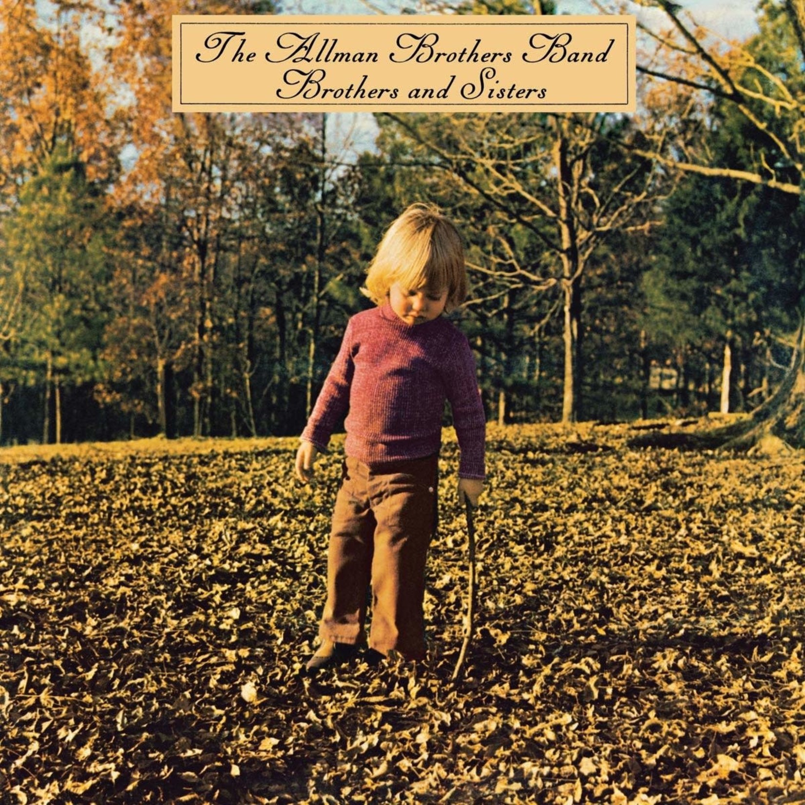 [Vintage] Allman Brothers Band - Brothers & Sisters