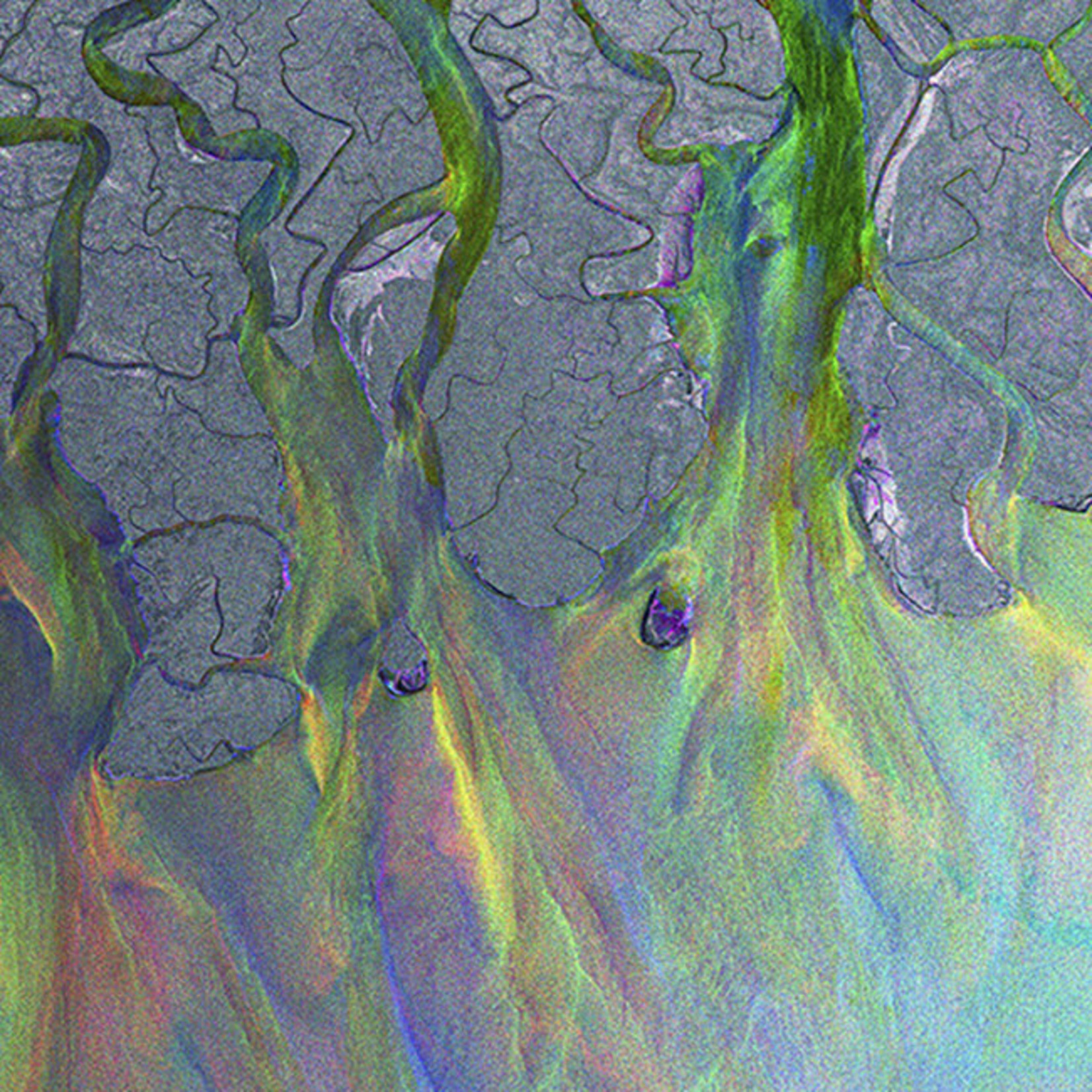 [New Vinyl] Alt-J - An Awesome Wave