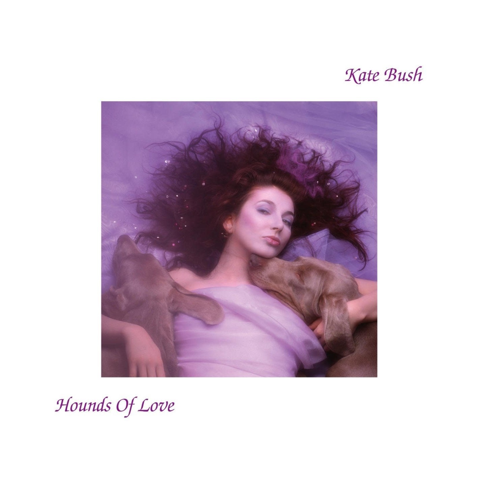[Vintage Vinyl] Kate Bush - Hounds of Love (LP, "Running Up That Hill")