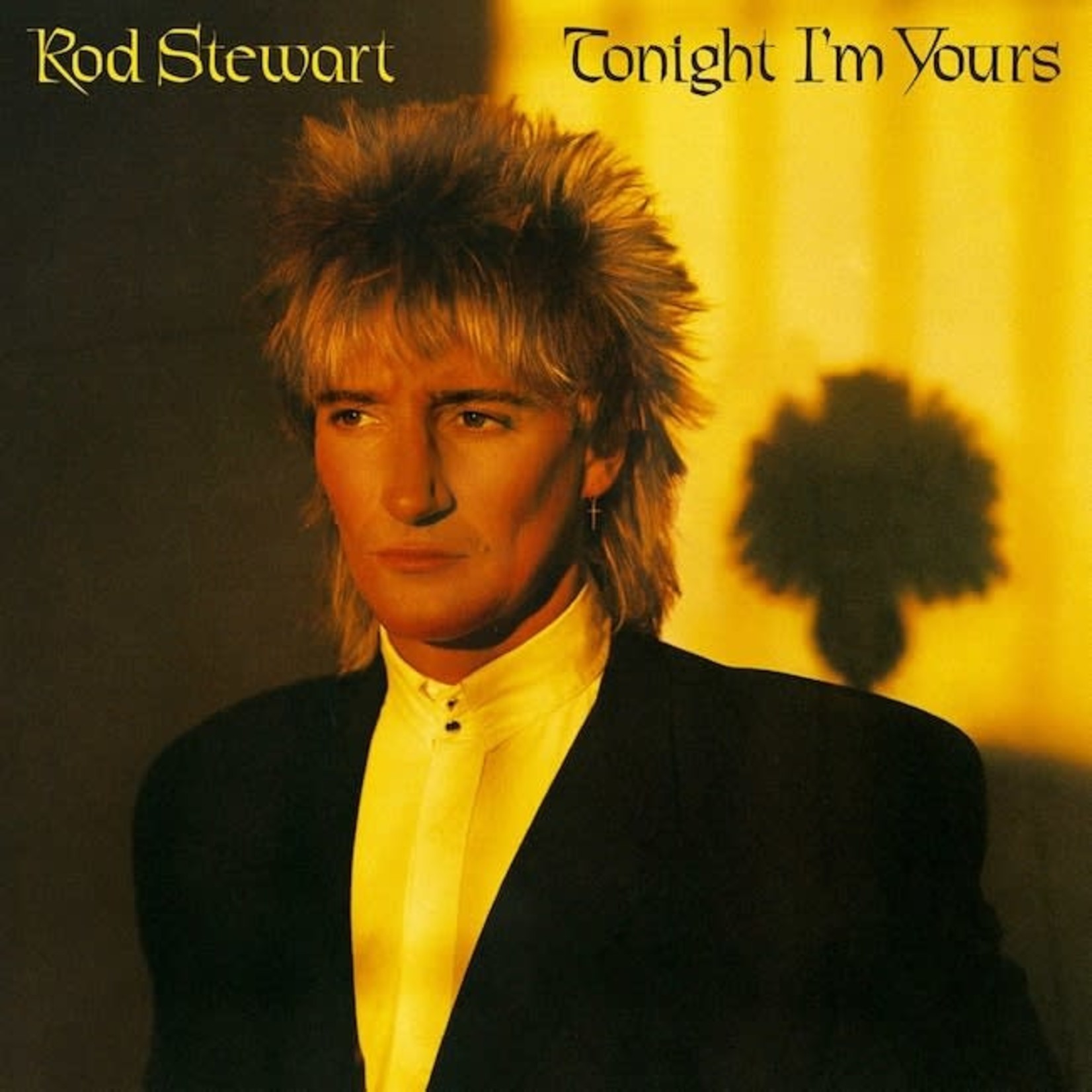 [Vintage] Rod Stewart - Tonight I'm Yours
