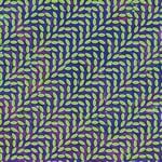 [New Vinyl] Animal Collective - Merriweather Post Pavilion (2LP)