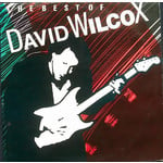 [Vintage] David Wilcox - Best of...