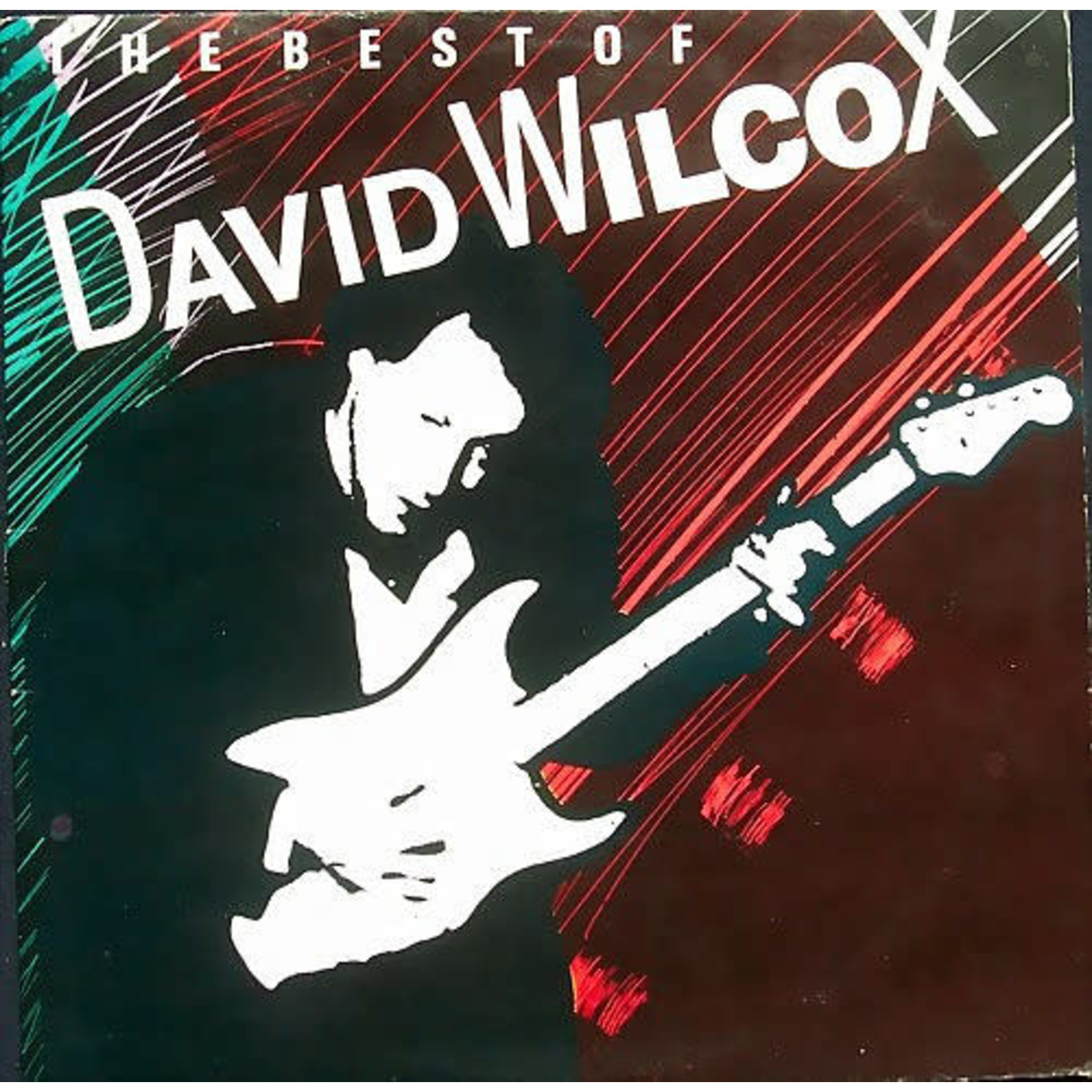 [Vintage Vinyl] David Wilcox - Best of...