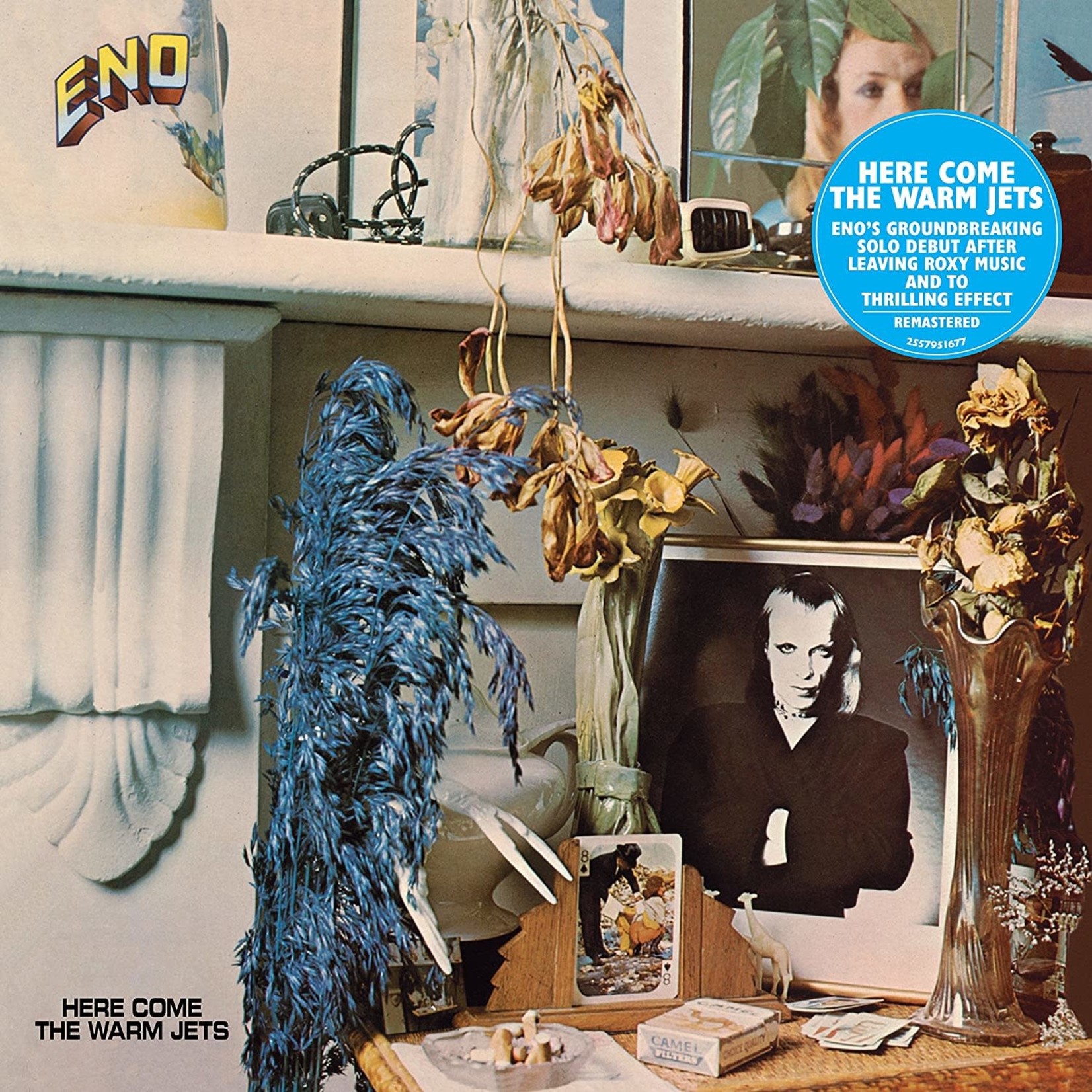 [New] Brian Eno - Here Come the Warm Jets