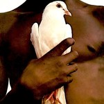 [Vintage Vinyl] Santana - Greatest Hits