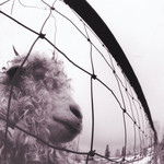 [New Vinyl] Pearl Jam - Vs.
