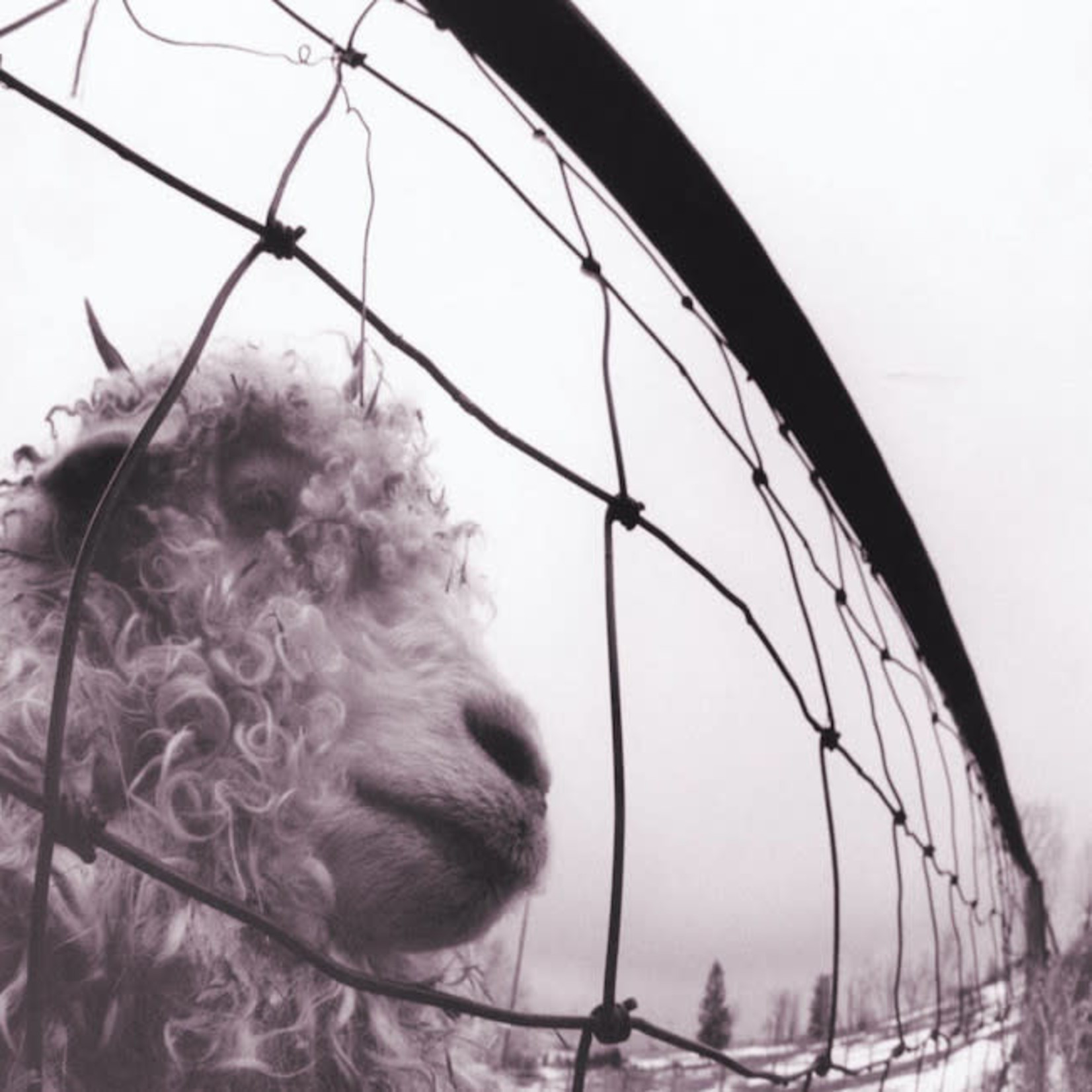 [New Vinyl] Pearl Jam - Vs.