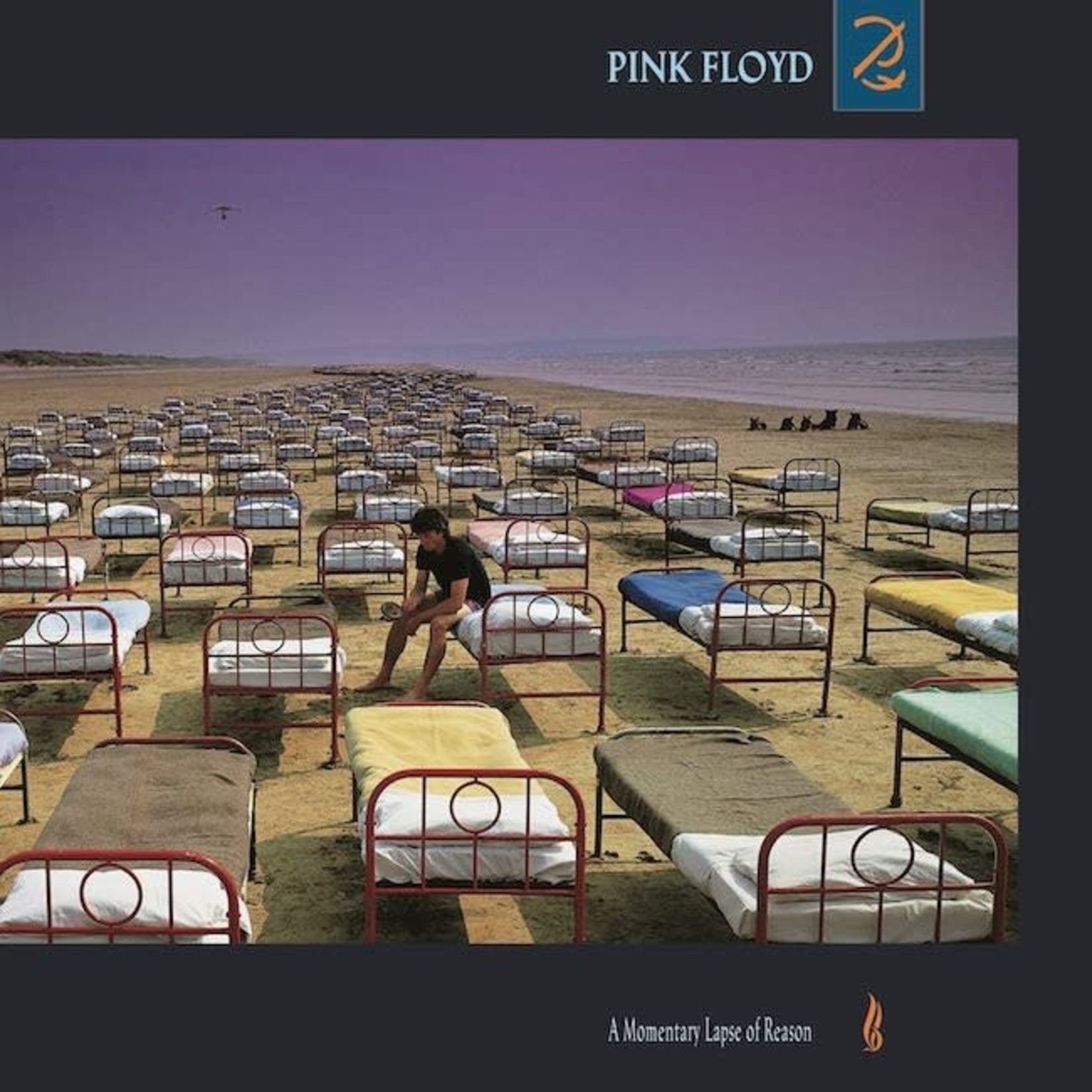 [Vintage Vinyl] Pink Floyd - A Momentary Lapse of Reason