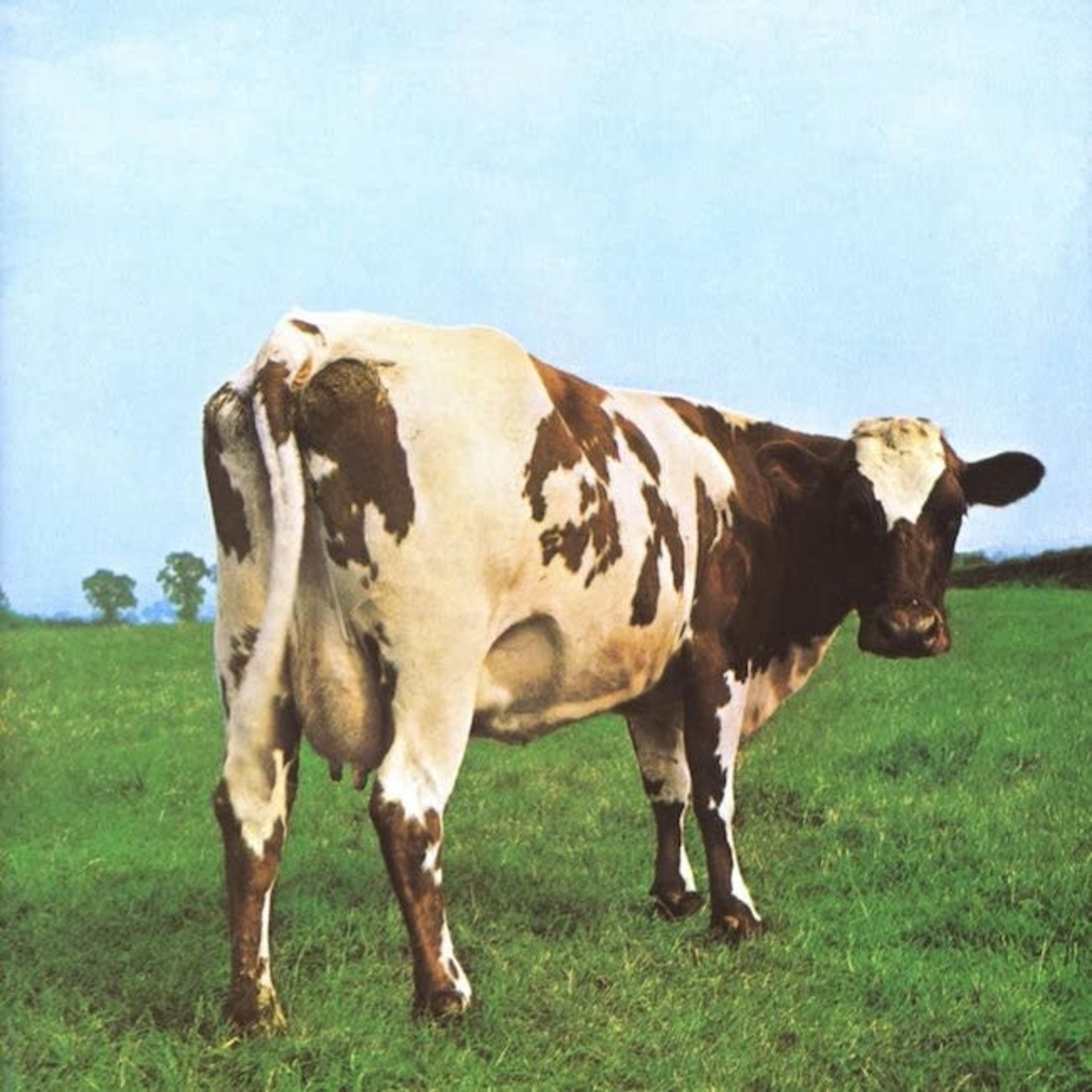 [Vintage] Pink Floyd - Atom Heart Mother