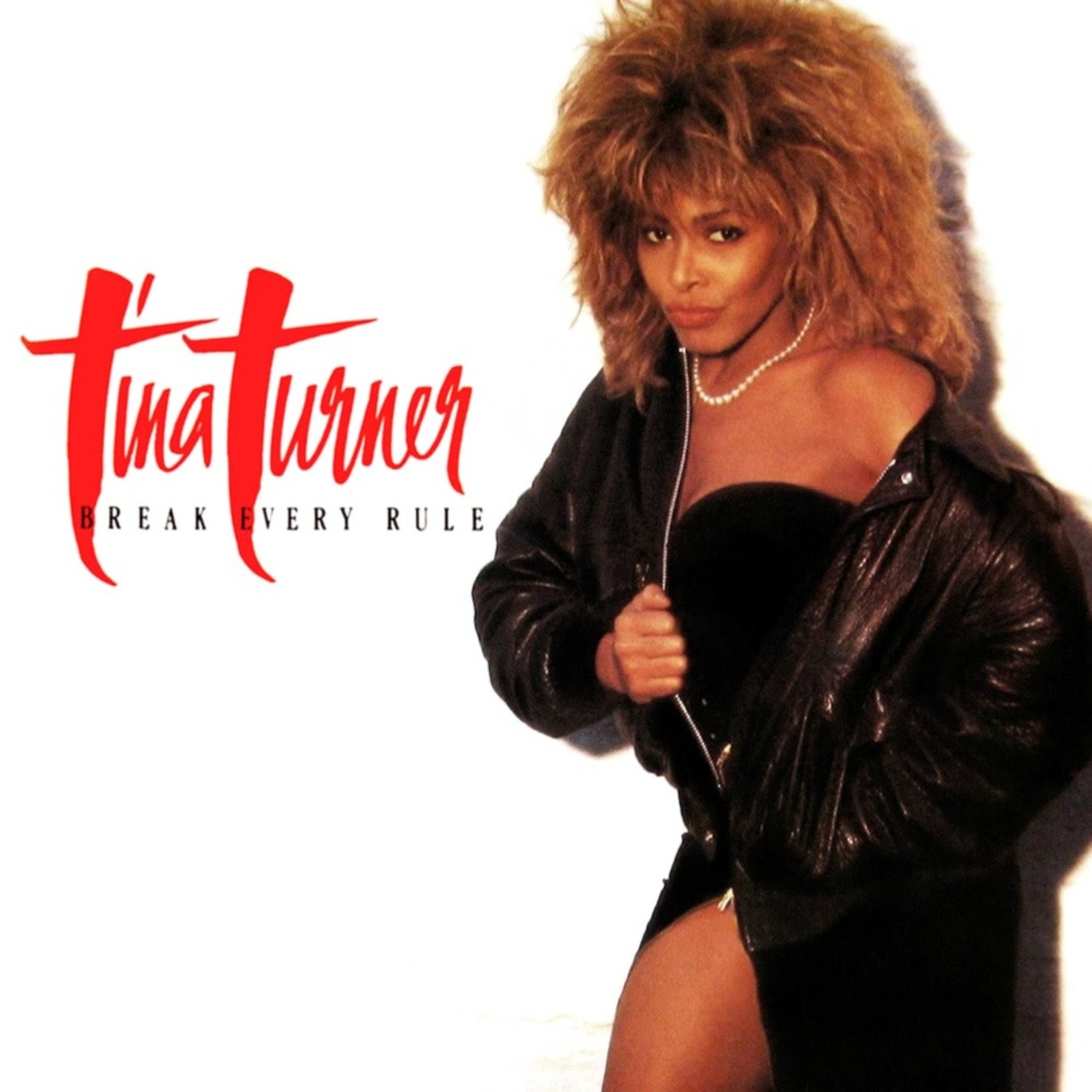[Vintage Vinyl] Tina Turner - Break Every Rule