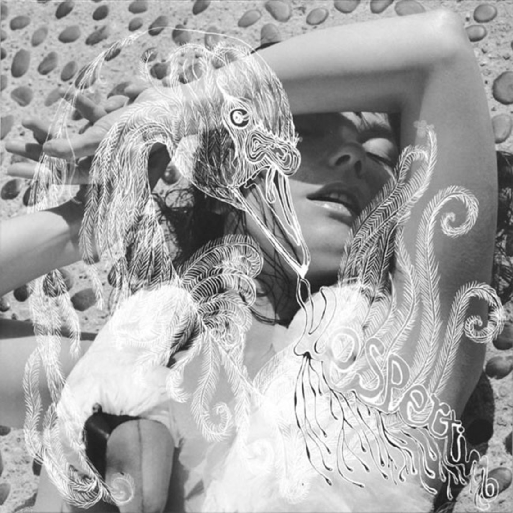 [New] Bjork - Vespertine