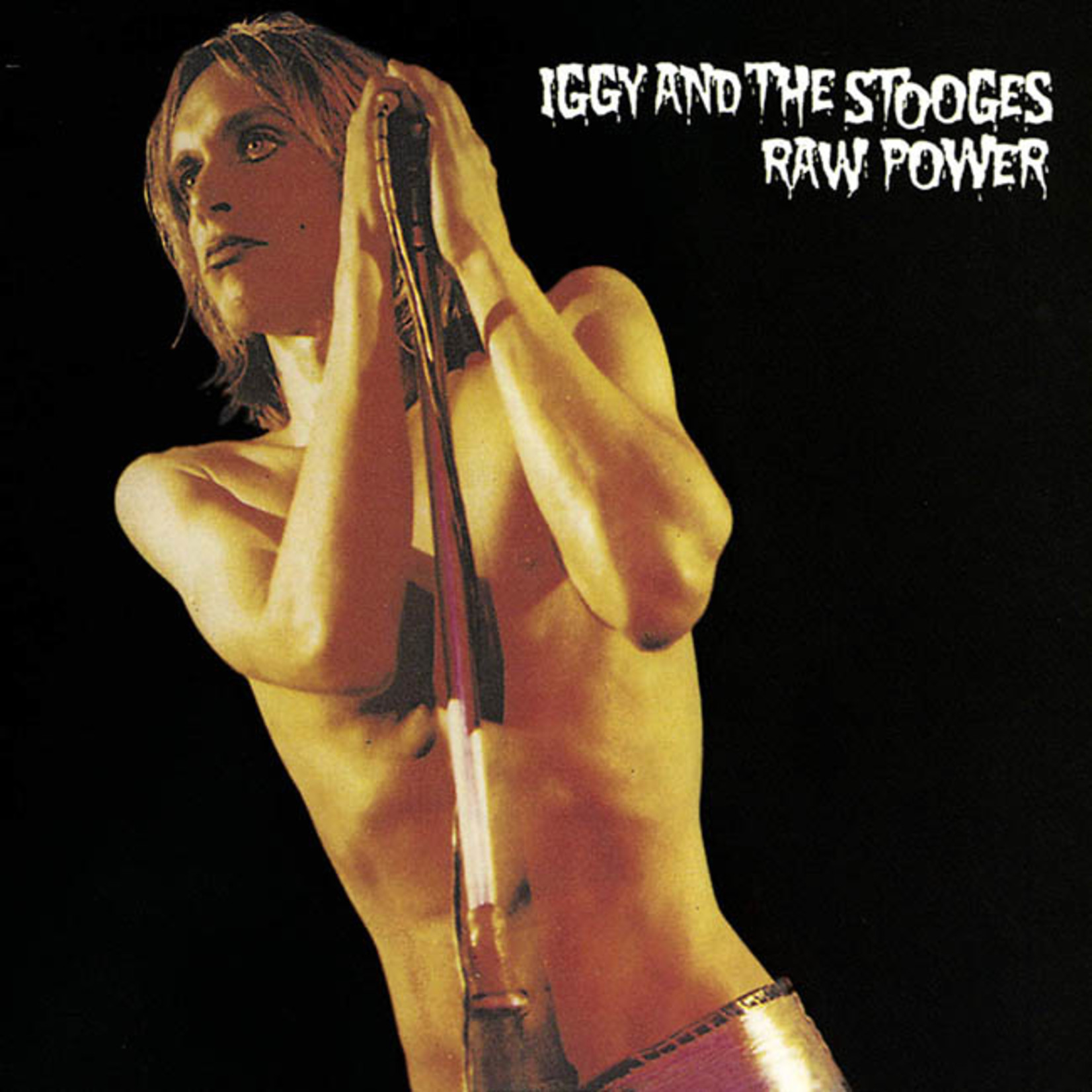 [New] Iggy Pop - Raw Power (2LP, David Bowie mix + Iggy Pop mix)